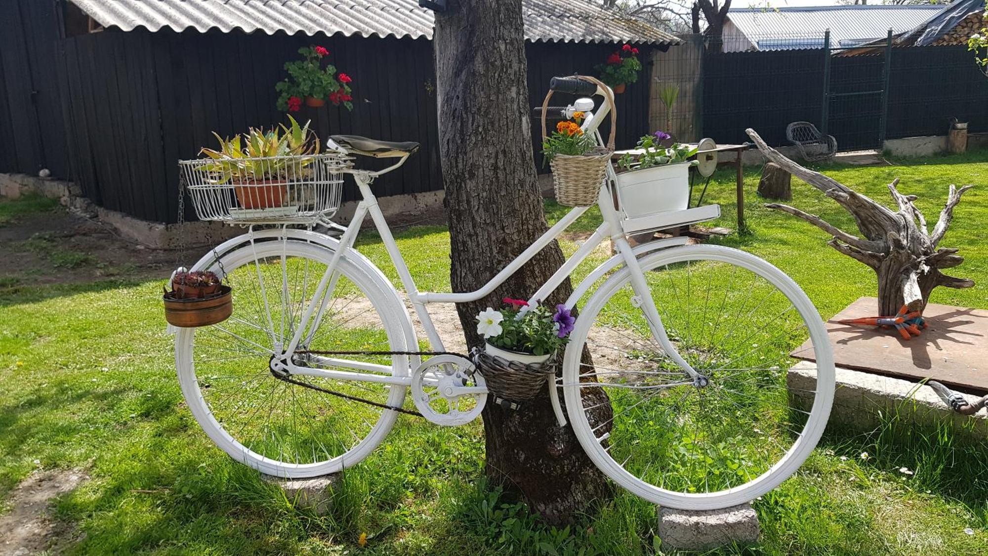 Pensiunea Miraj Polovragi Luaran gambar